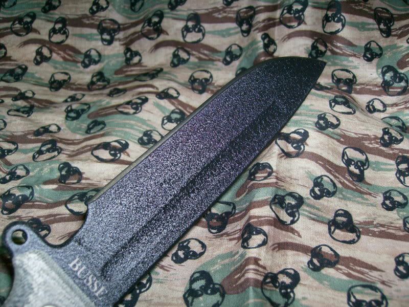 SANY0028.jpg