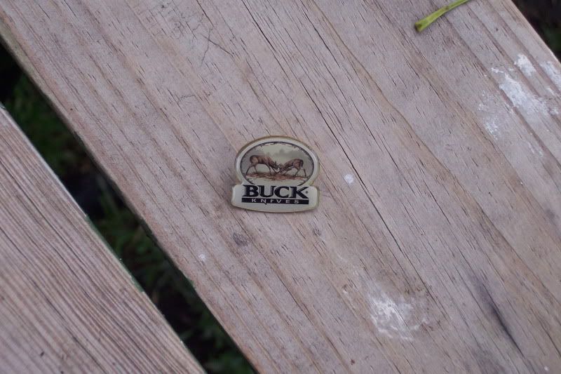 100_7381.jpg