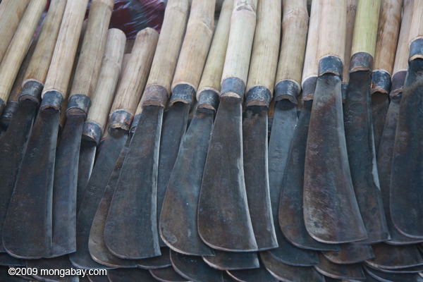 laos_1575.jpg