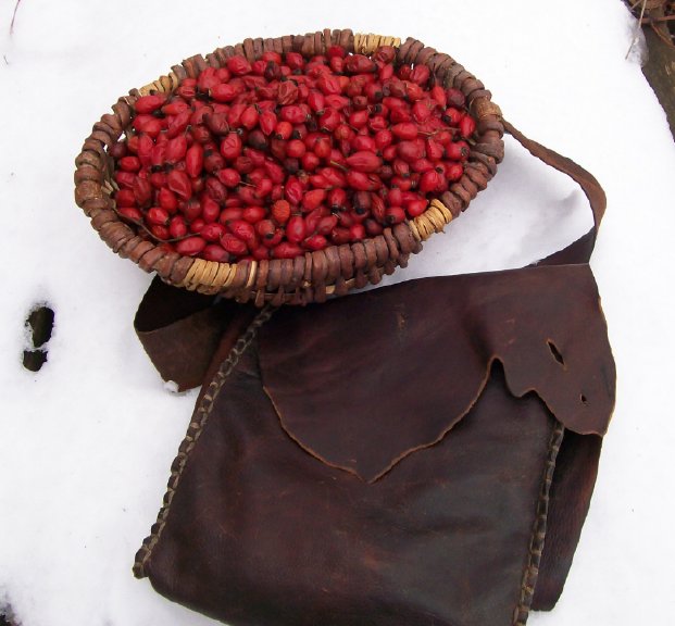 rosehip1.jpg