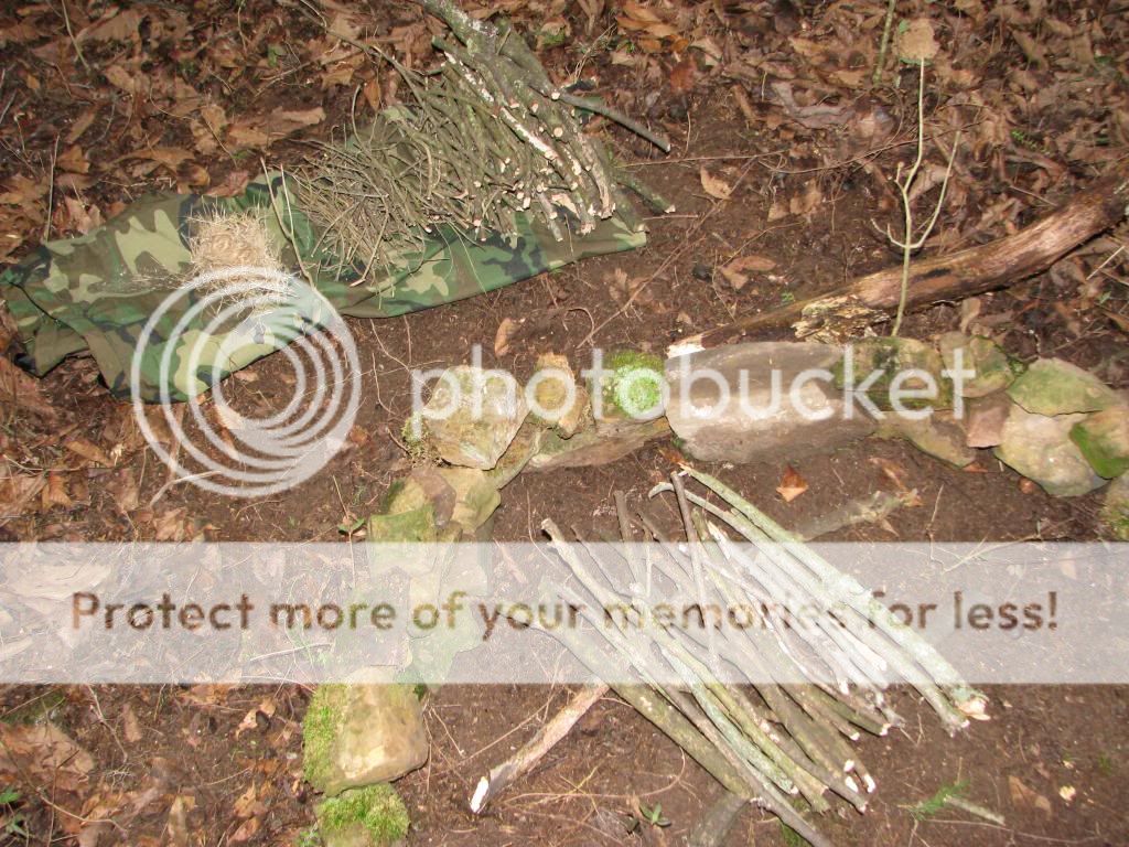 IMG_3366_zpsb5e71e7e.jpg