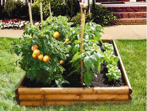 Raised_Bed_Garden_Kit.jpg