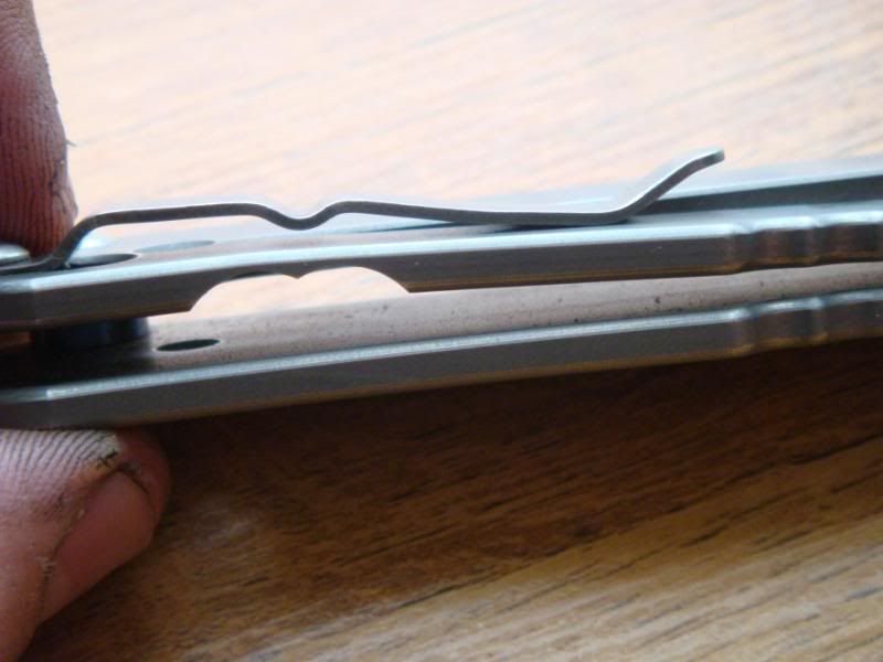 DSC01005.jpg