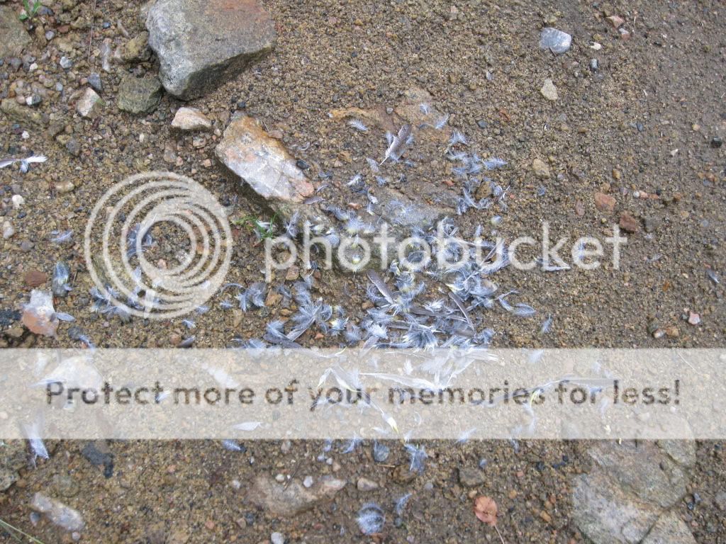 IMG_1346.jpg