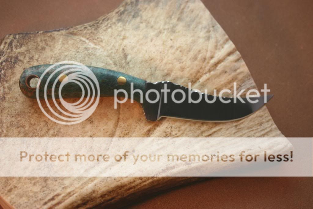 IMG_4232_1_zps412d03b0.jpg