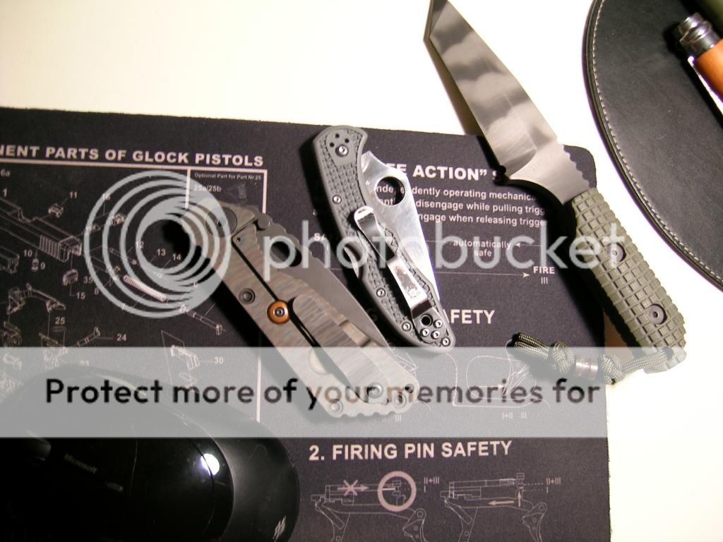 DSCN3981_zps130e4b22.jpg
