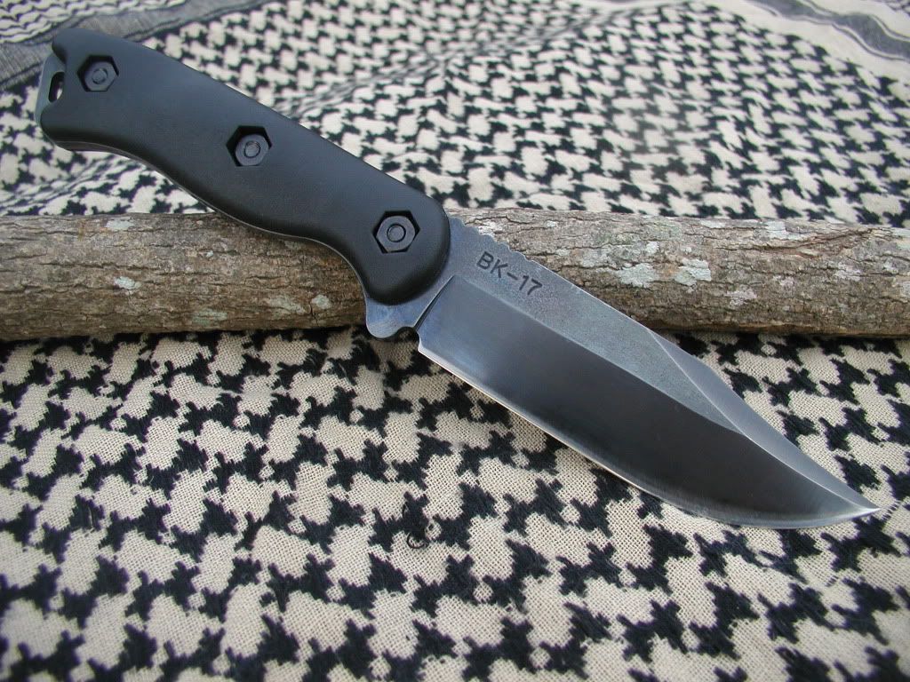 BK17blued1.jpg