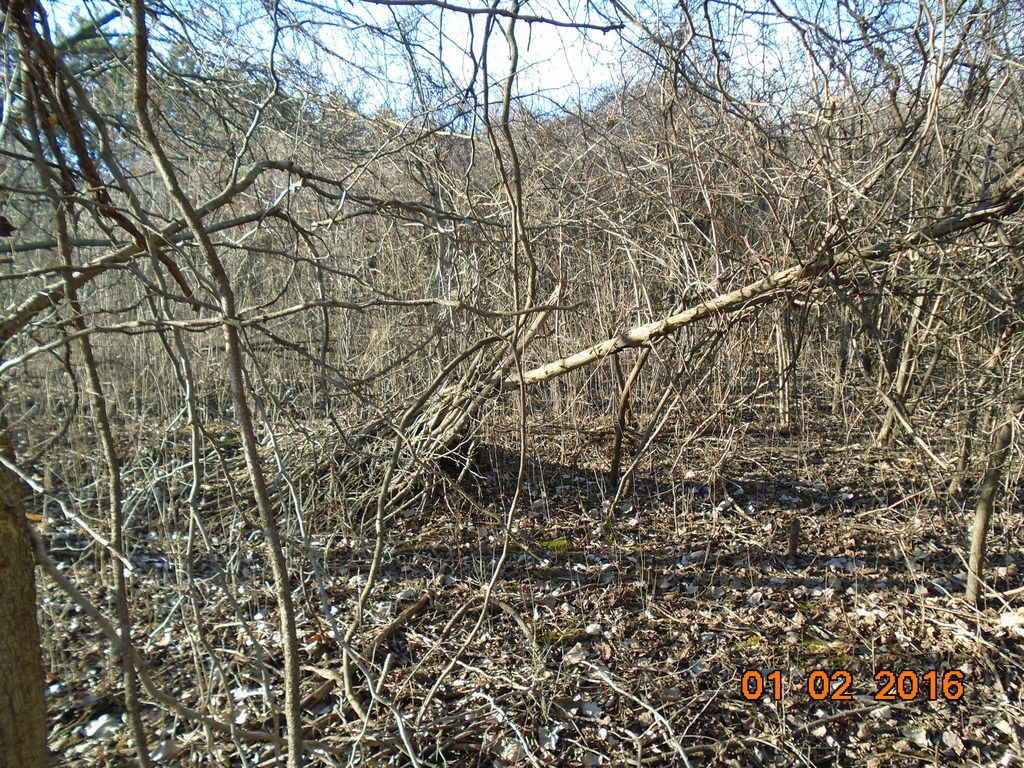 DSC00111_zpsiabh3zxp.jpg