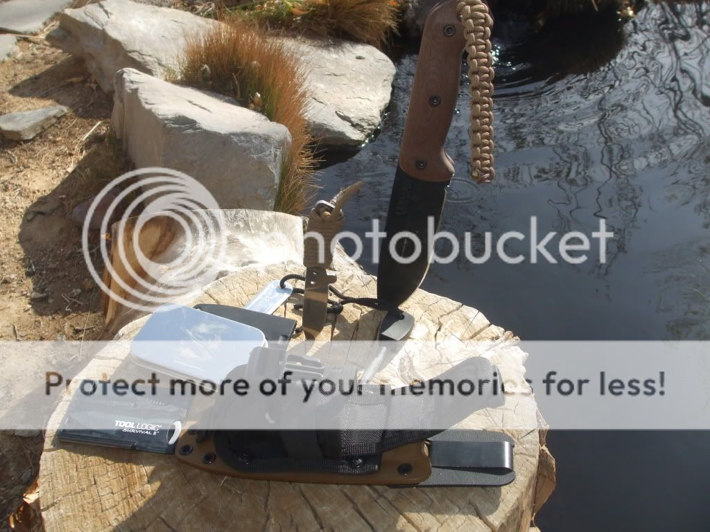pondbeckerpics024.jpg