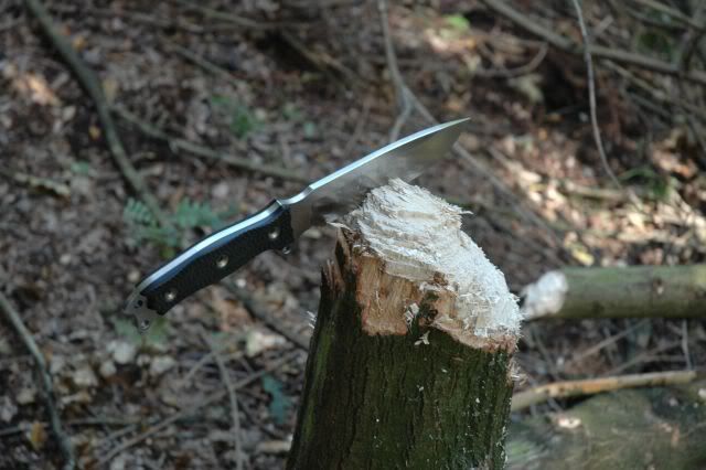 Afbeelding093.jpg