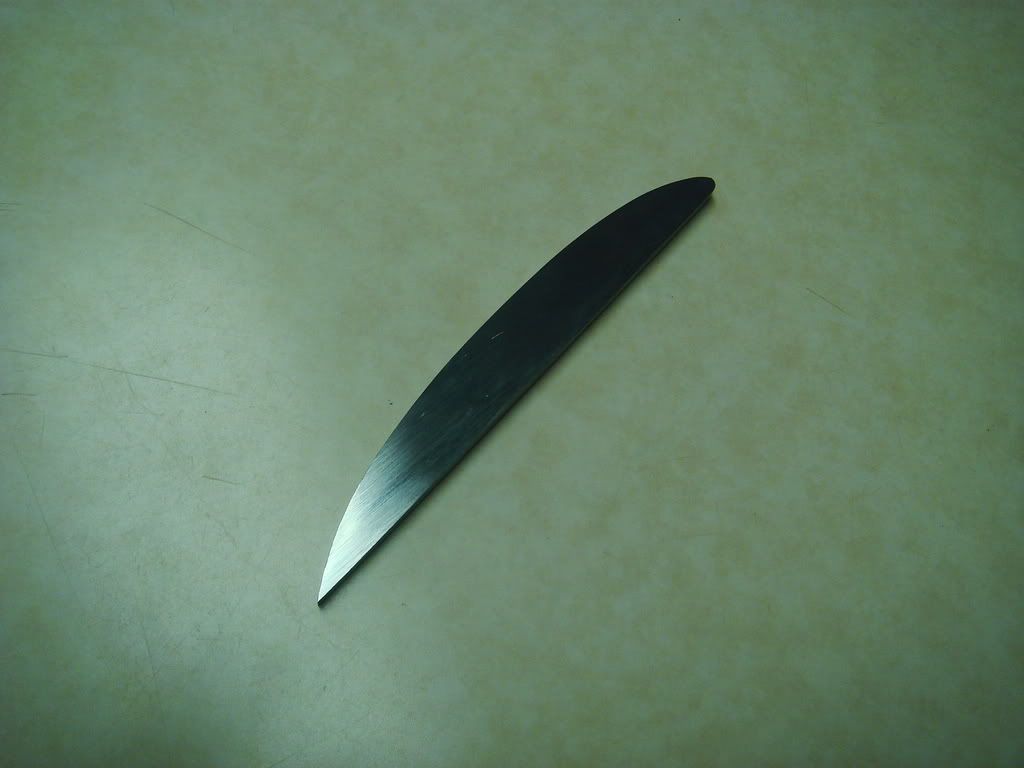 DSC02256.jpg