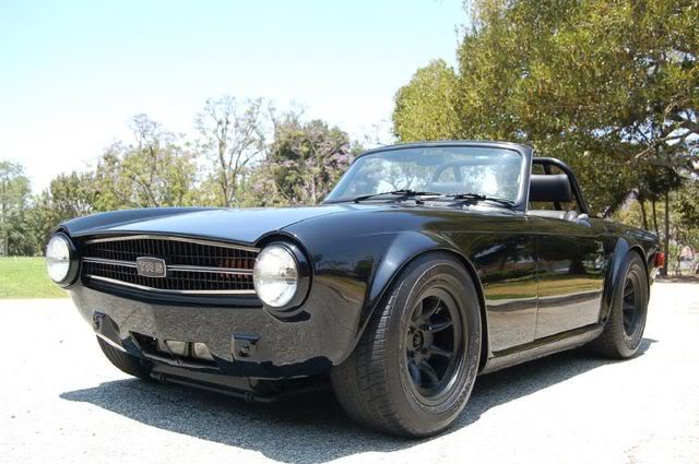 blacktr6.jpg