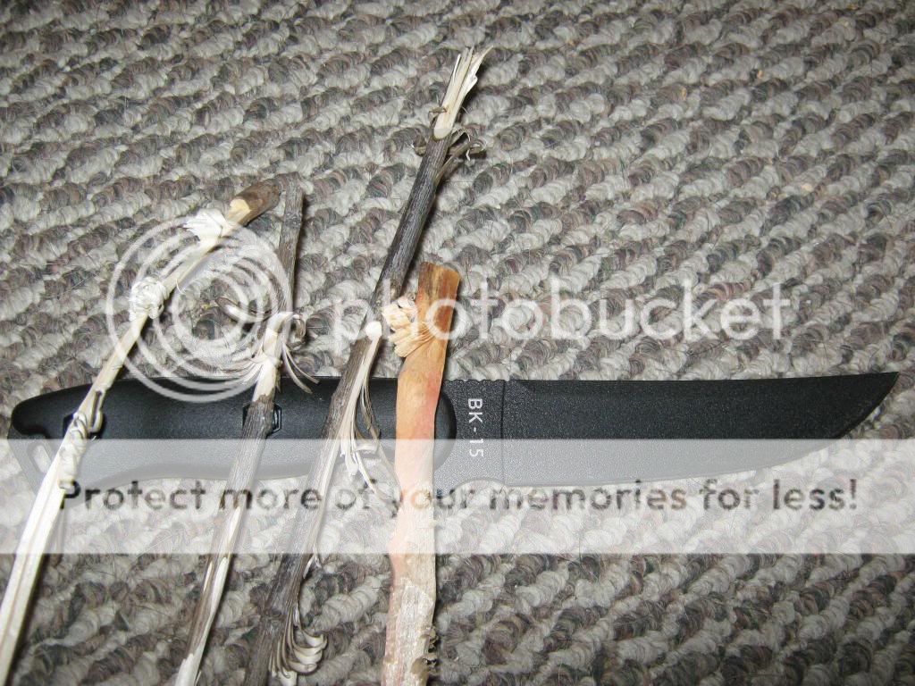 IMG_0803_zps0cb252fb.jpg
