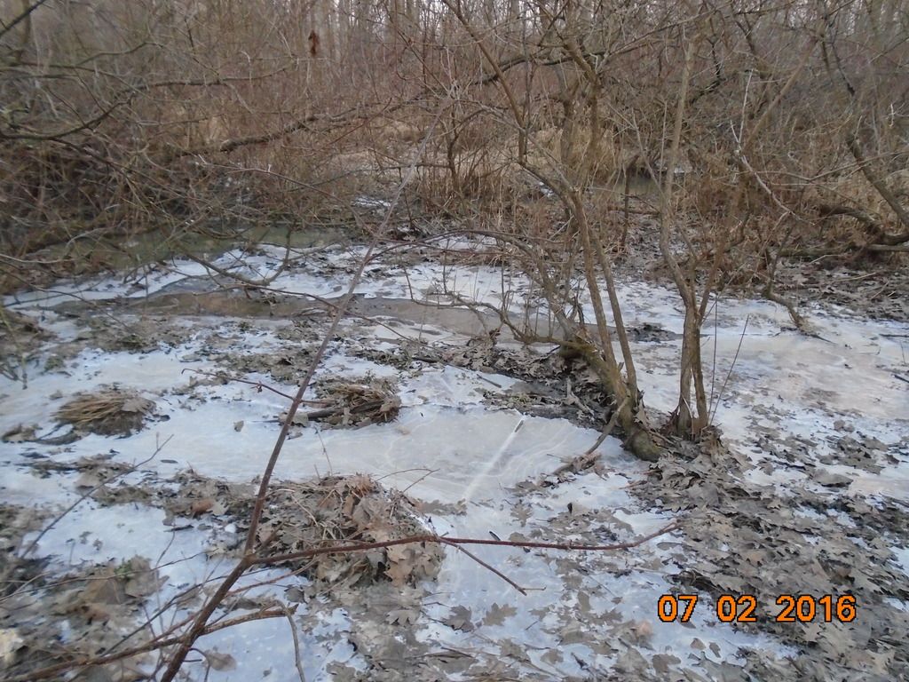 Camp%2035_zps0vbvkrin.jpg