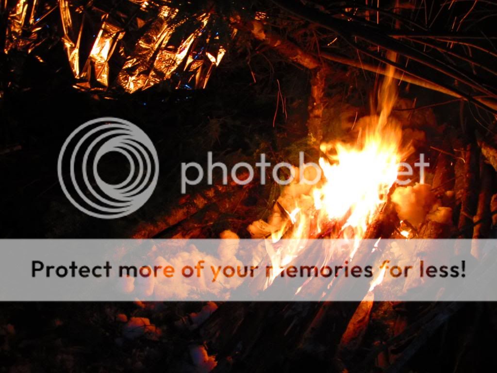 IMG_2292_zps4064f336.jpg