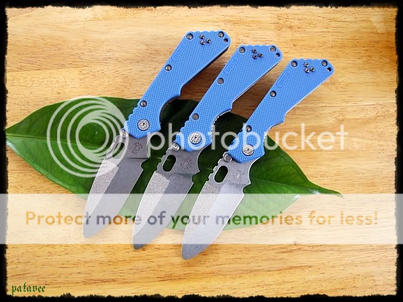 DSCF9288.jpg