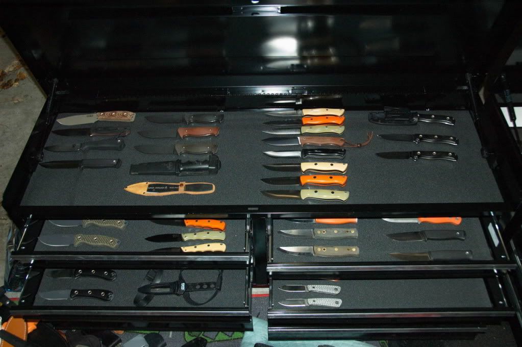 DSC_6488_resize.jpg