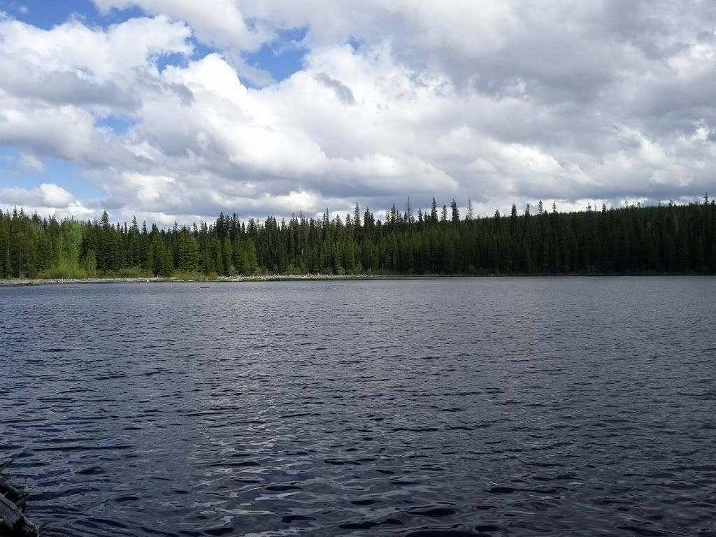 IMG_20110611_1539551024x768.jpg