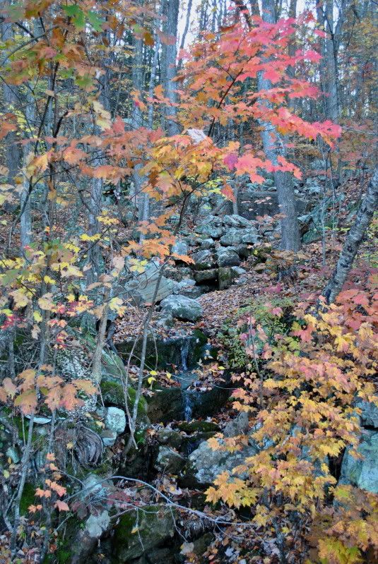 DSC_0323.jpg