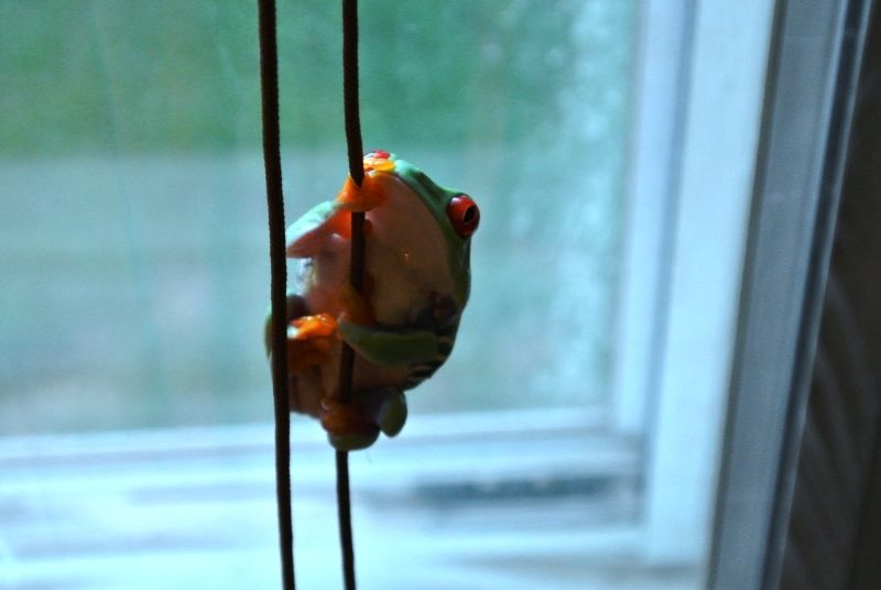 DSC_0069.jpg