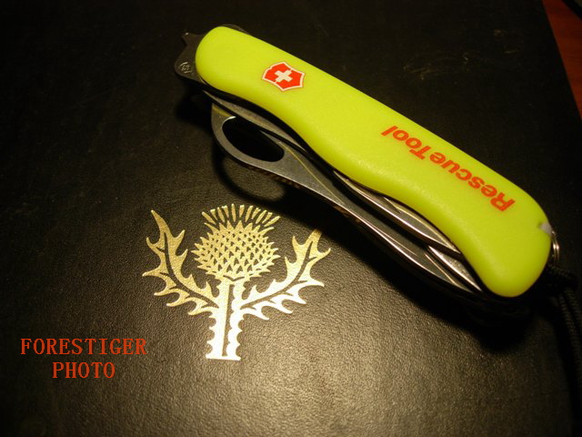 113b247c660.jpg