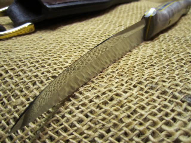 AS0042012.jpg