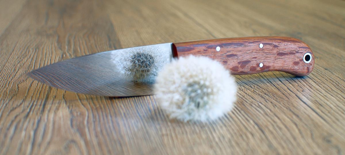sabolbrothers-m1-k390-buloke-mirror-dandelion.jpg