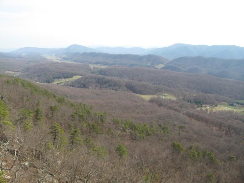 IMG_2892.jpg