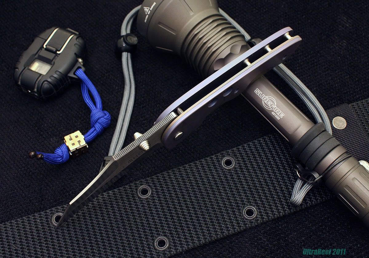 hybrid_2011_03-1e.jpg