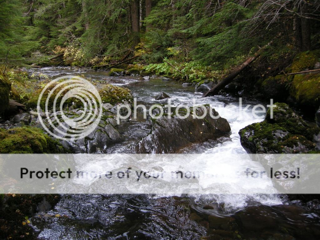 DSCN2570.jpg