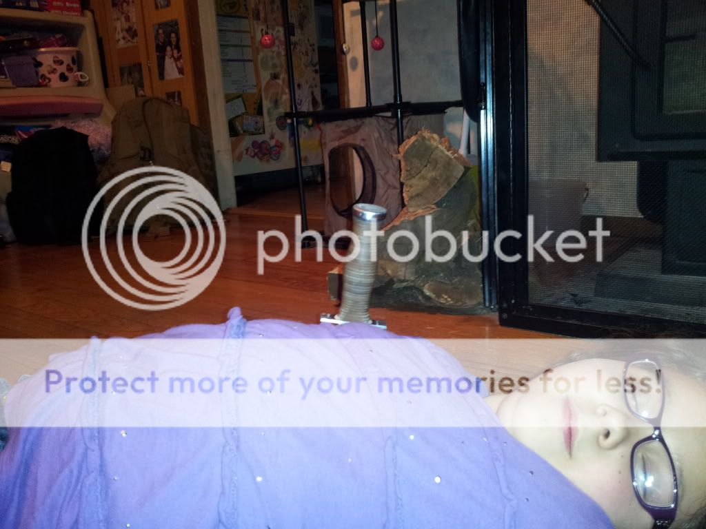 2012-01-09174204.jpg