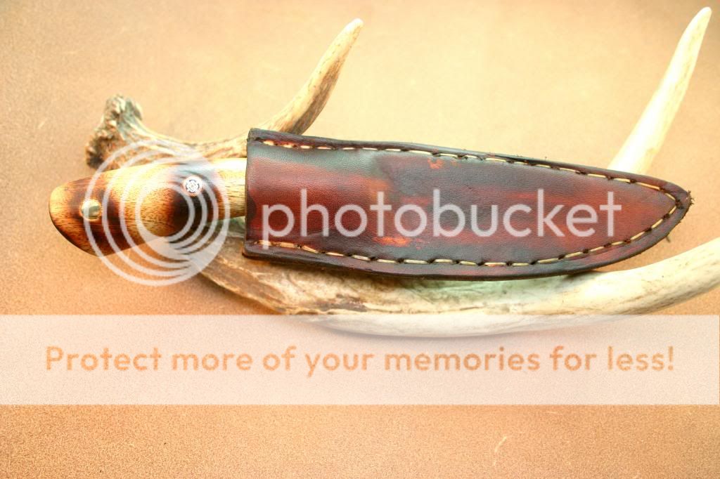 IMG_4225_1_zps1a6e4875.jpg