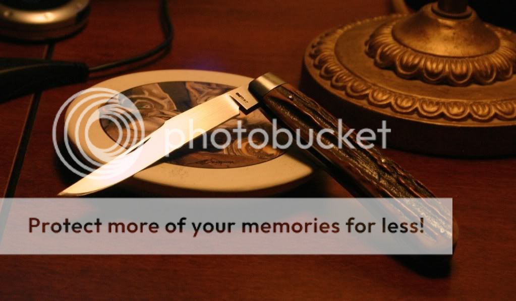 LloydTrapper.jpg~original