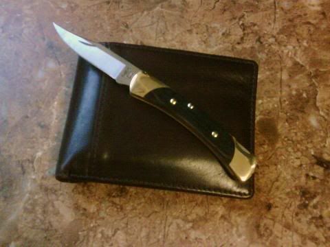 buck5501.jpg