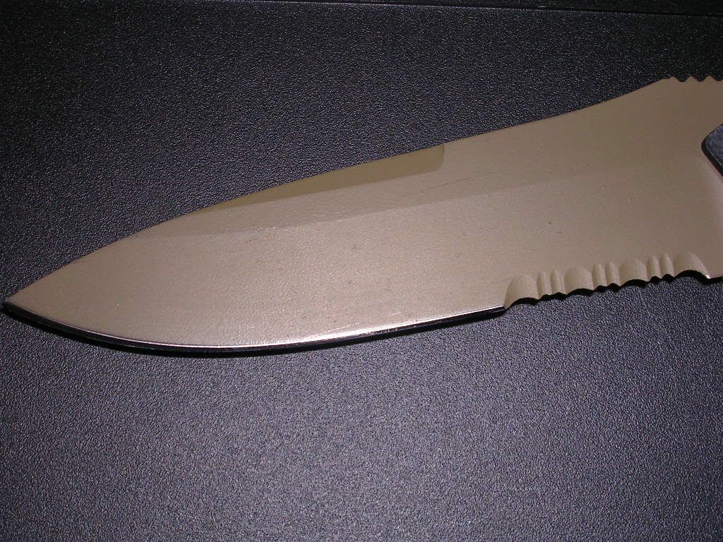 DSCN0286.jpg