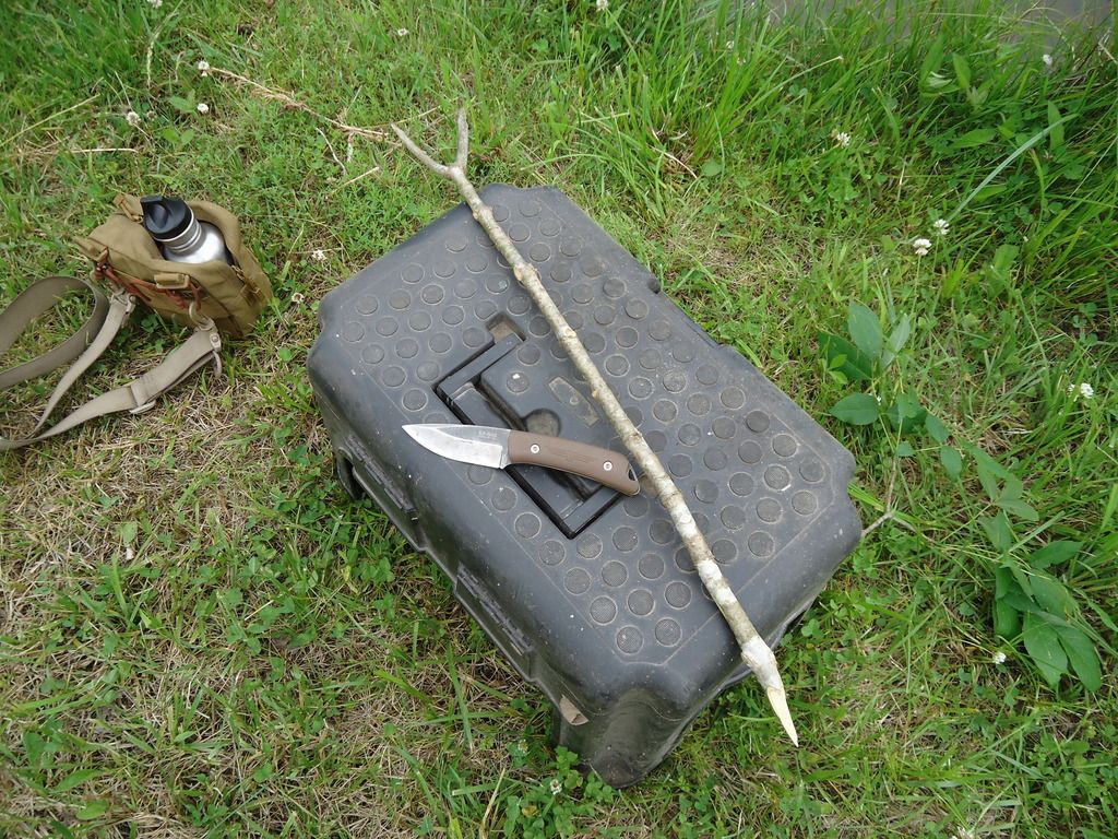DSC01821_zpsqmeilgoa.jpg