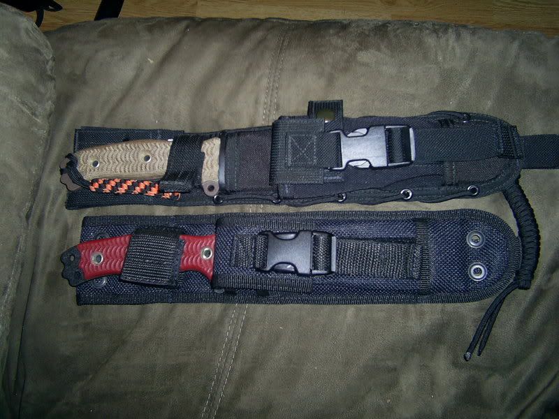 ebaypics242.jpg