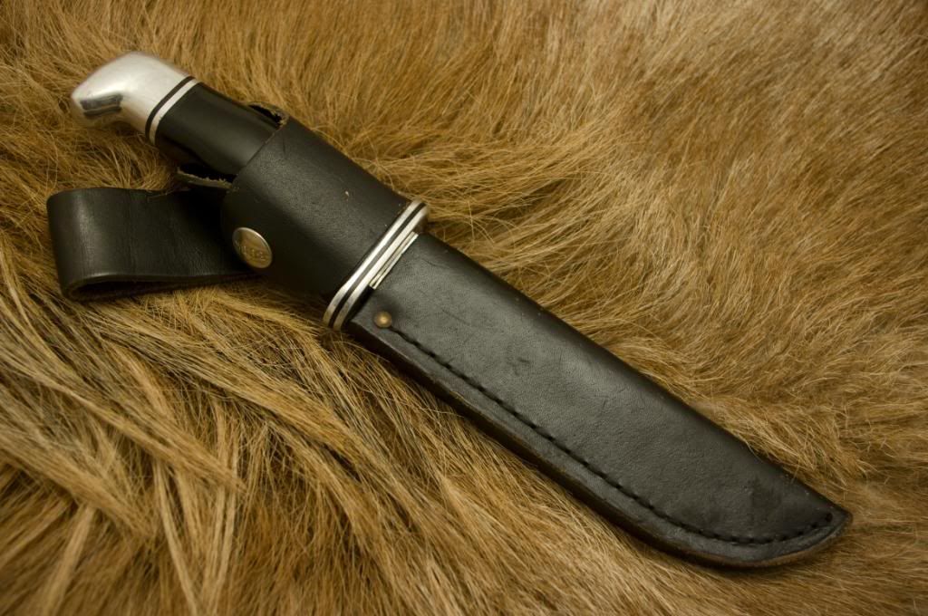 Buck119aus1981_1.jpg