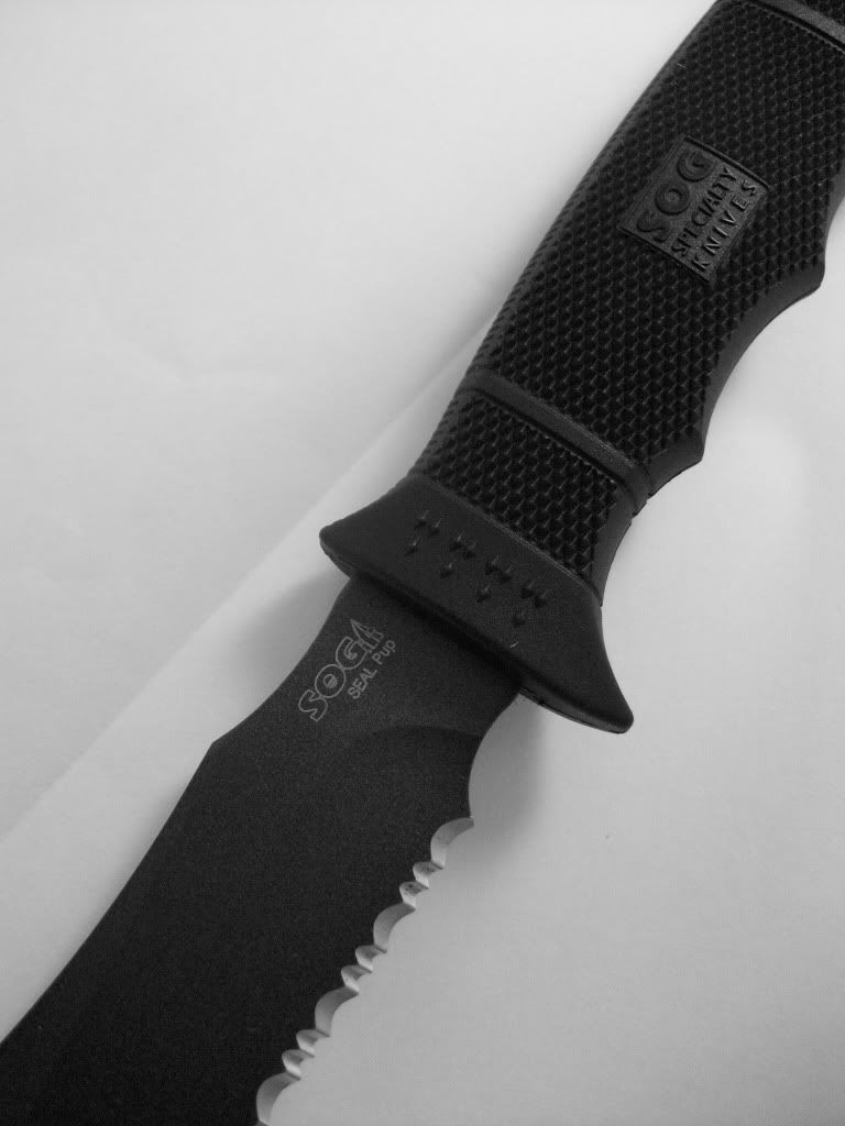 100_1163.jpg
