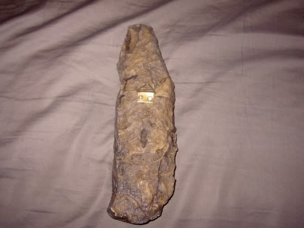 PICT2940.jpg