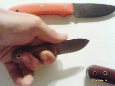 IMAG0147.JPG