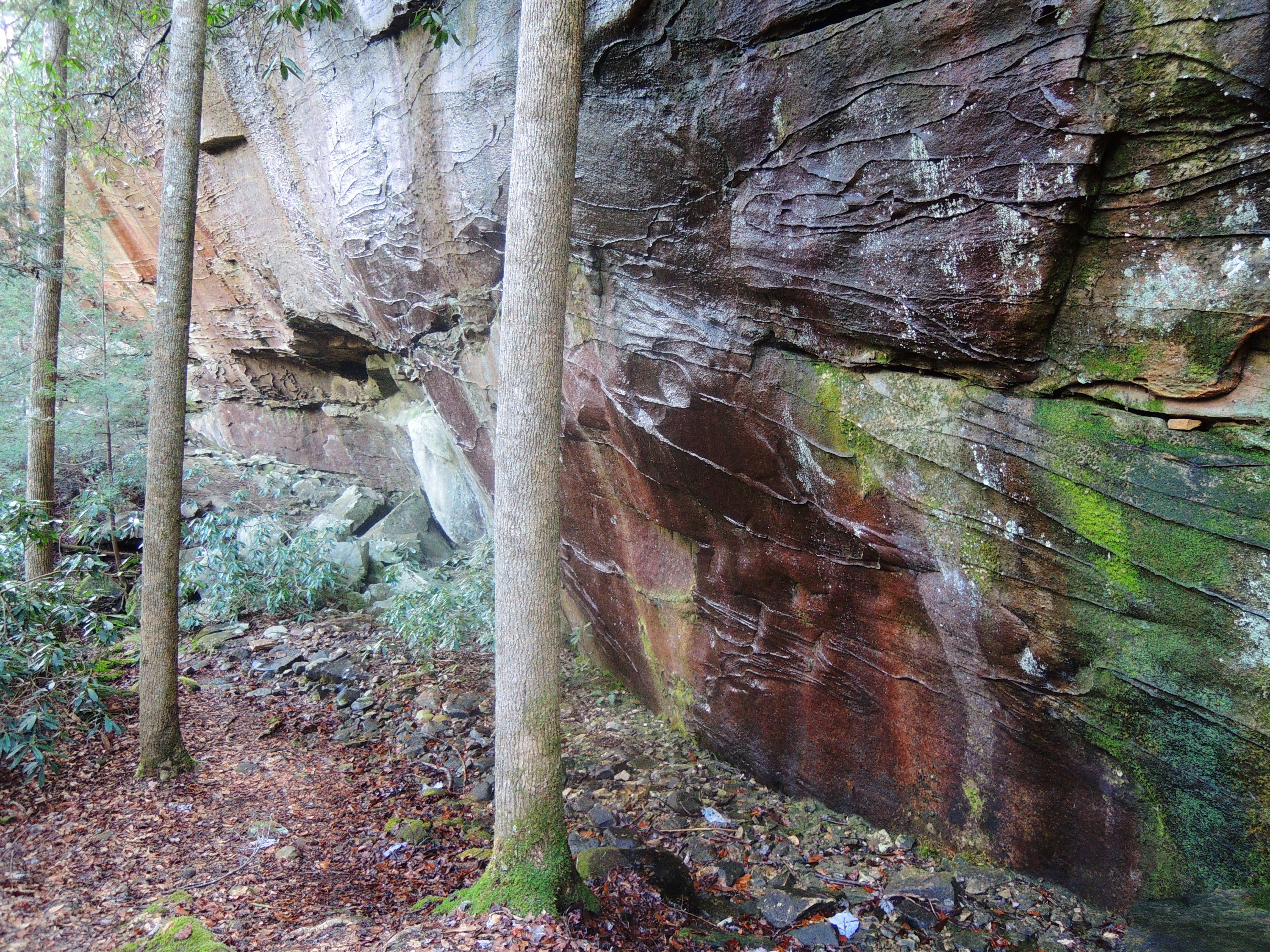 dscn5087x.jpg