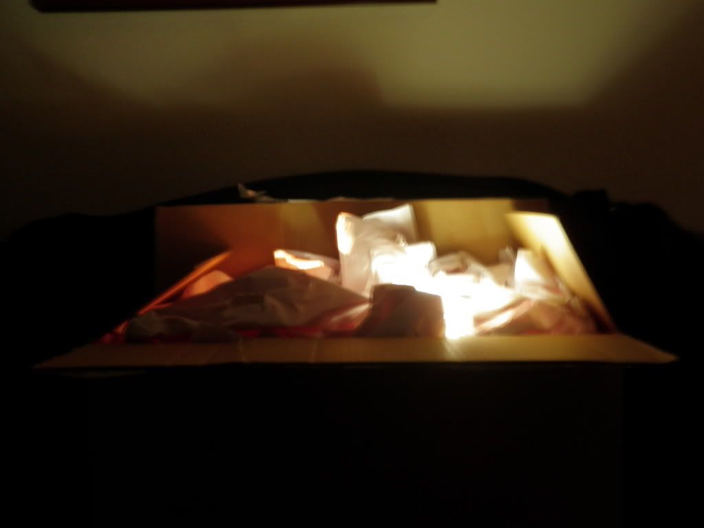 PC010011.jpg