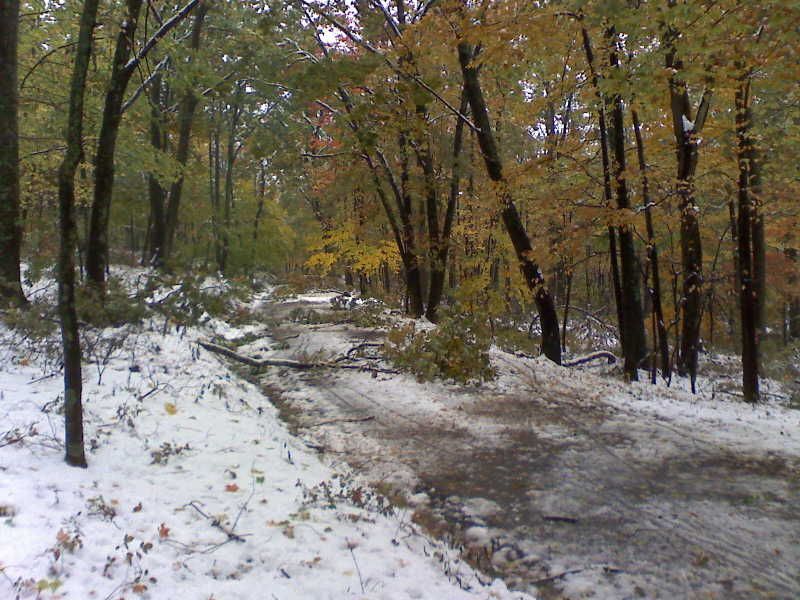 img305.jpg