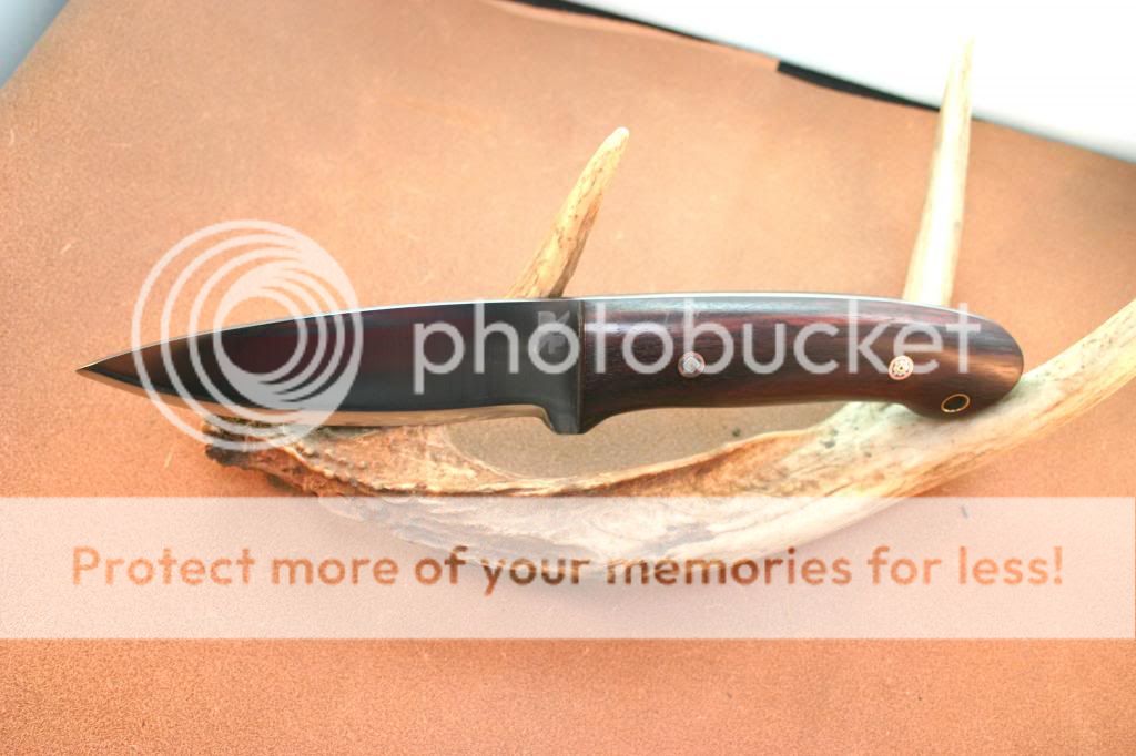 IMG_4226_1_zps7b4c0af8.jpg
