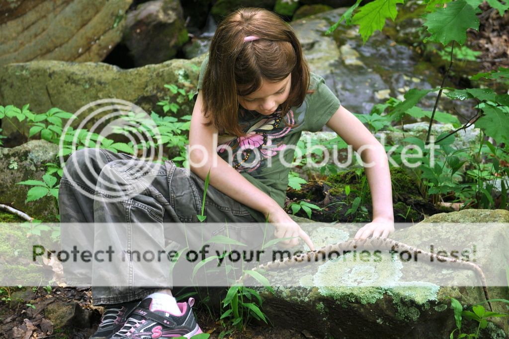DSC_2965.jpg