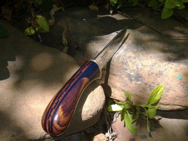 DSCF0688.jpg