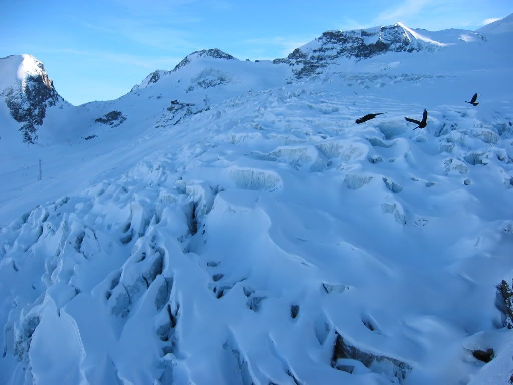108-0857_IMG.jpg