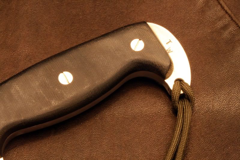 WASPSHBM1194.jpg