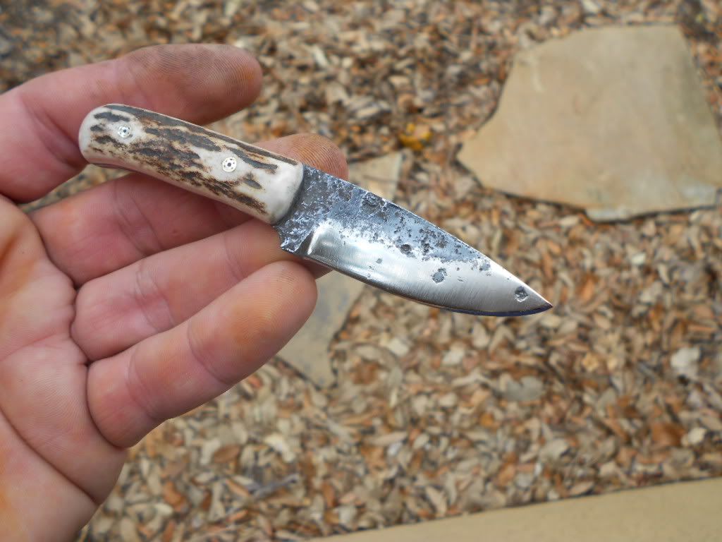2stagmiserywhipneck047.jpg